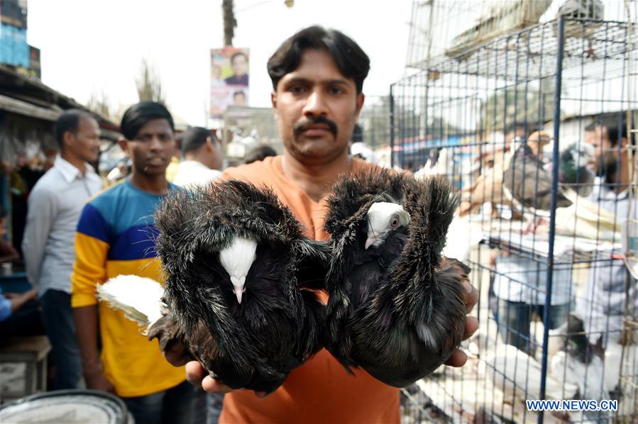 BANGLADESH-DHAKA-PIGEON-MARKET