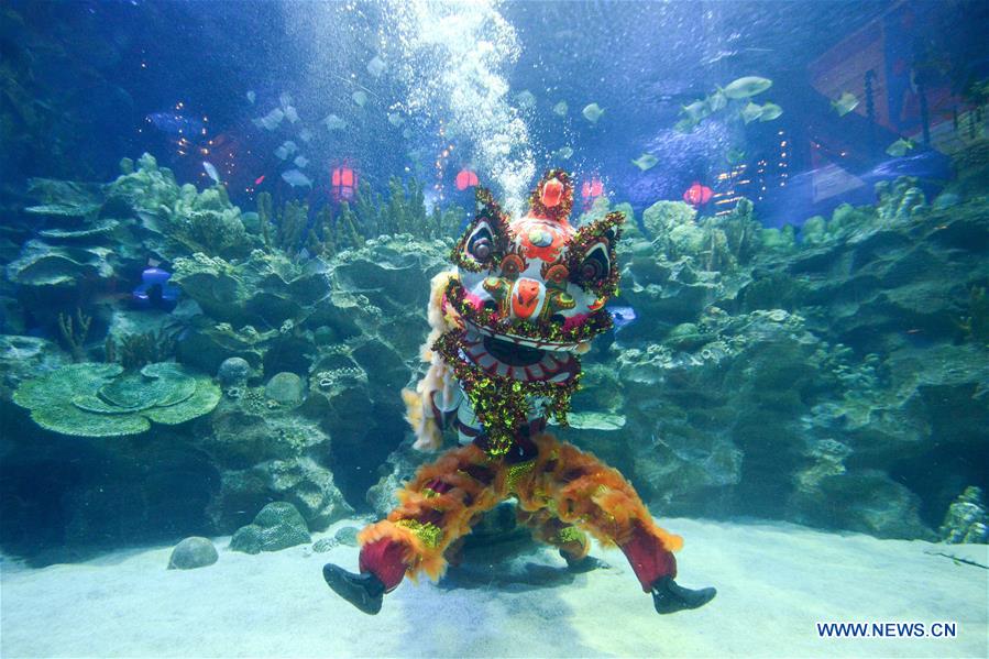 MALAYSIA-KUALA LUMPUR-UNDERWATER LION DANCE