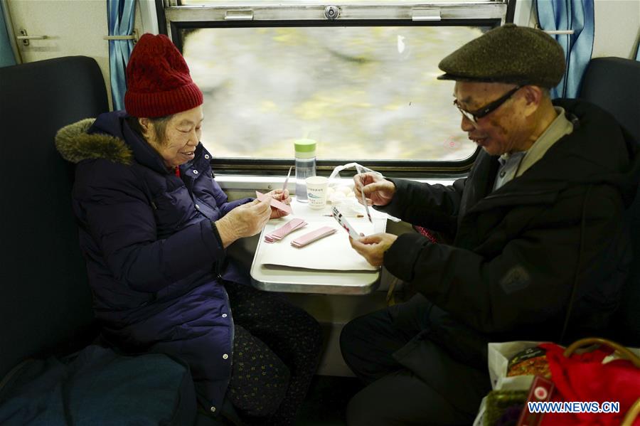 CHINA-SPRING FESTIVAL-TRAVEL RUSH-GREEN TRAIN (CN)