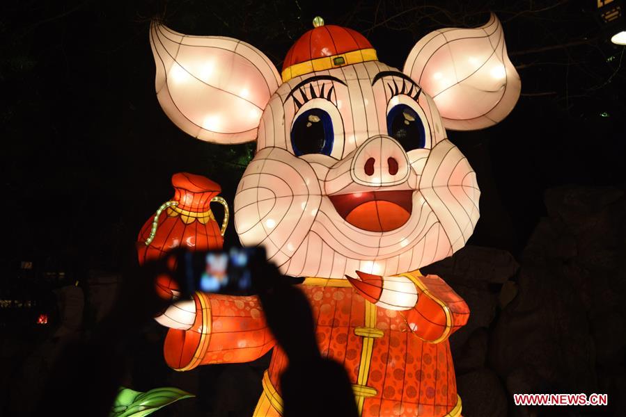 CHINA-JINAN-BAOTU SPRING-LANTERN FAIR (CN)