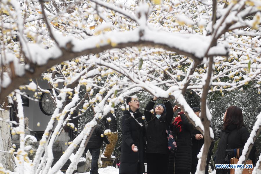 CHINA-ANHUI-HEFEI-SNOW-SCENERY (CN)