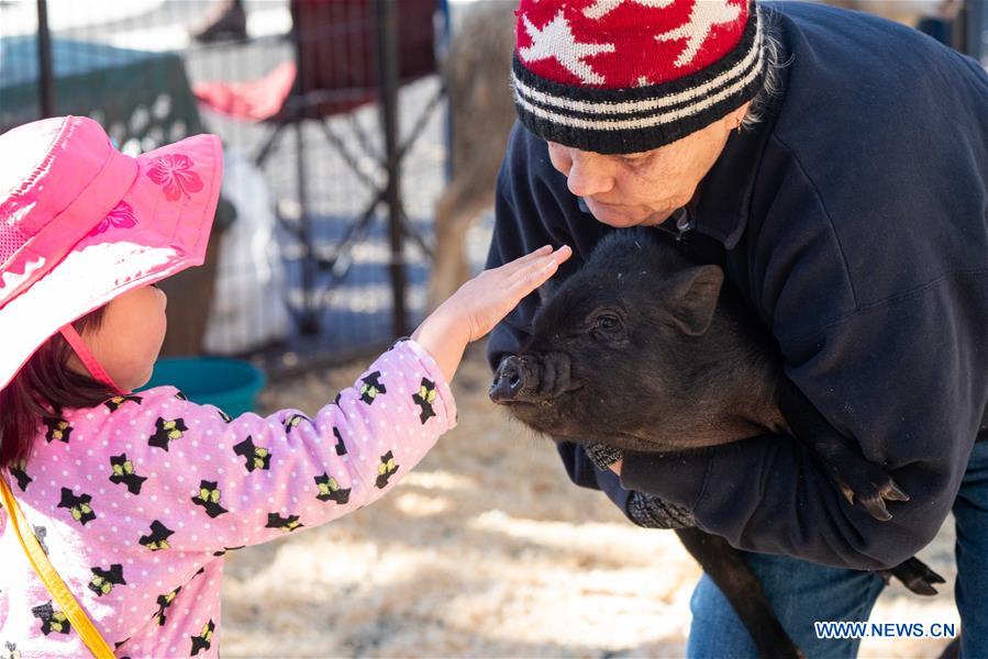 U.S.-LOS ANGELES-LUNAR NEW YEAR-CELEBRATION 