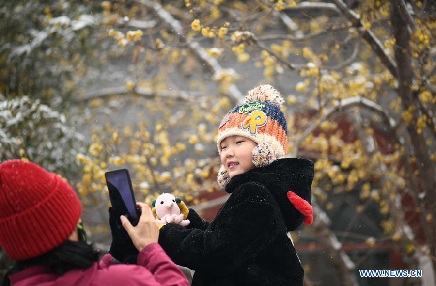 #CHINA-SHIJIAZHUANG-SNOW (CN)