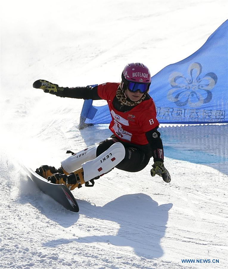 (SP)CHINA-HEBEI-ZHANGJIAKOU-FIS SNOWBOARD-PARALLEL GIANT SLALOM(CN)