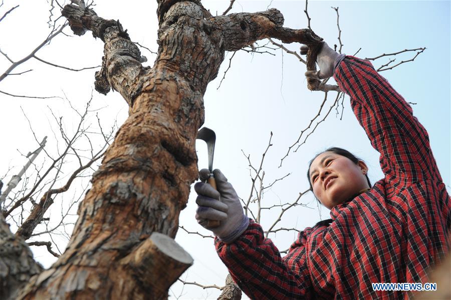 #CHINA-SPRING-FARMING (CN)