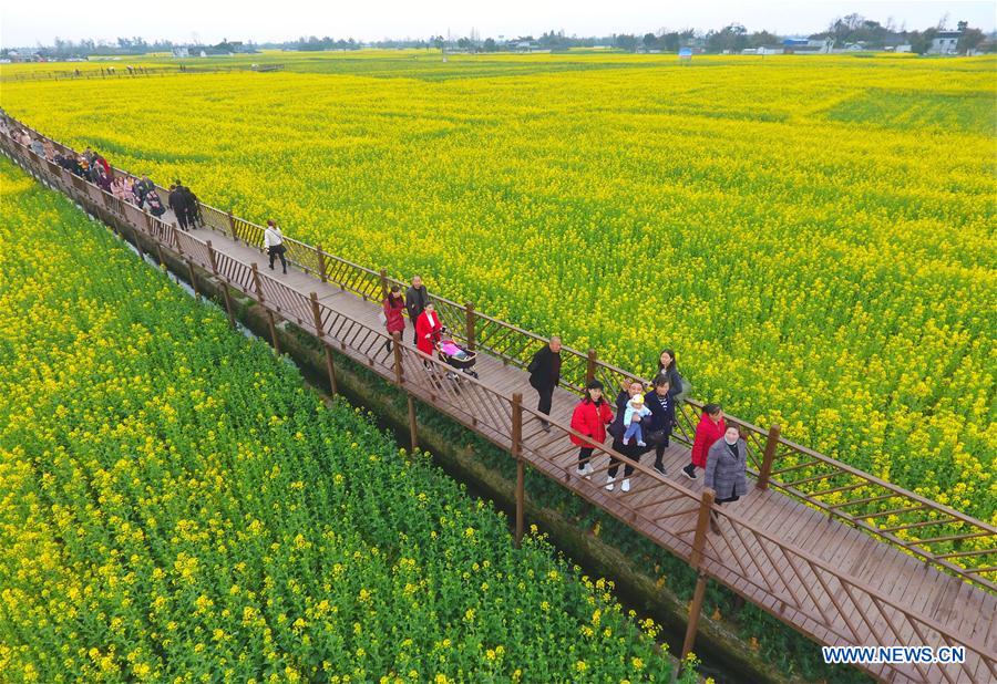 CHINA-SICHUAN-COLE FLOWERS-TOURISM (CN)