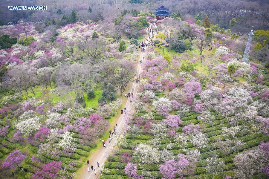 XINHUA PHOTOS OF THE DAY