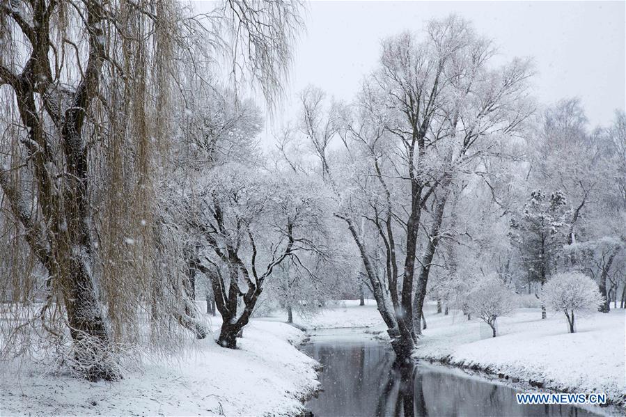 LATVIA-RIGA-WINTER SCENERY