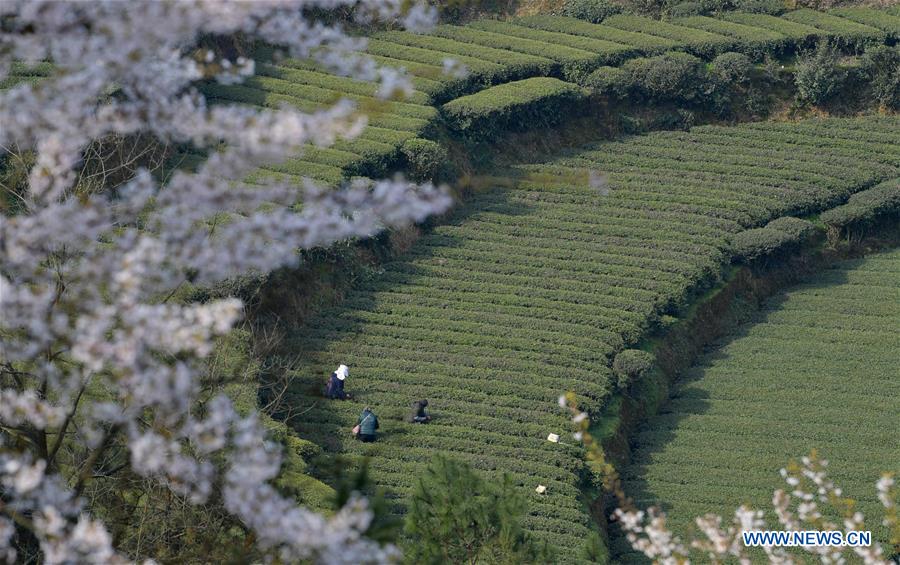 #CHINA-SPRING-FARMING (CN)