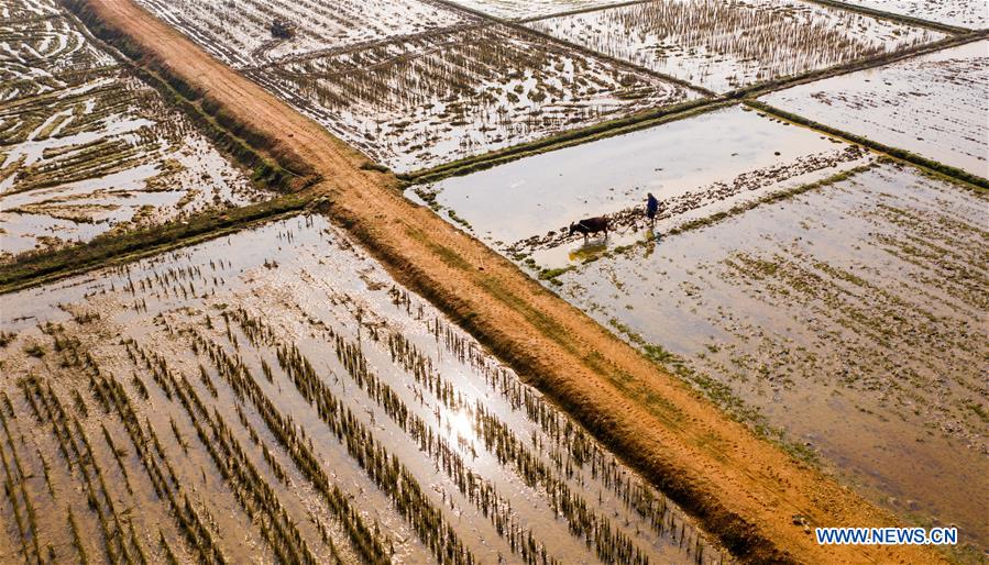 #CHINA-SPRING-FARMING (CN)