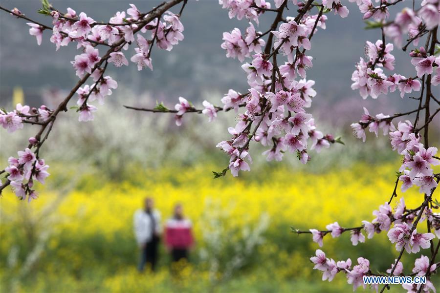 #CHINA-EARLY SPRING-FLOWERS (CN)