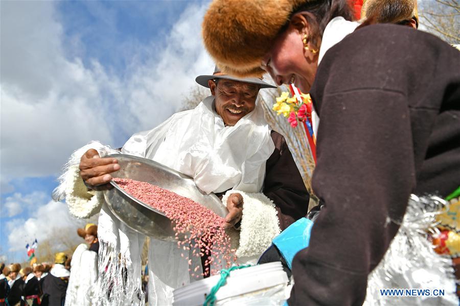 CHINA-TIBET-SPRING PLOWING (CN)