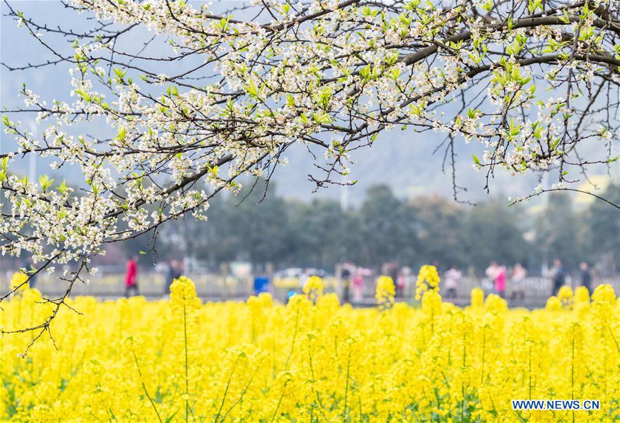 # CHINA-SPRING-SCENERY (CN)