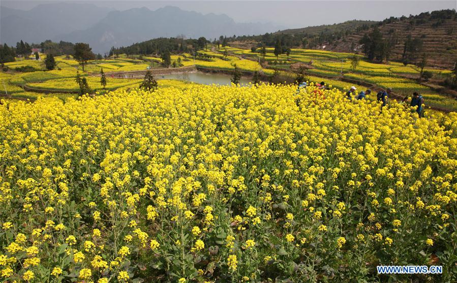 # CHINA-SPRING-SCENERY (CN)