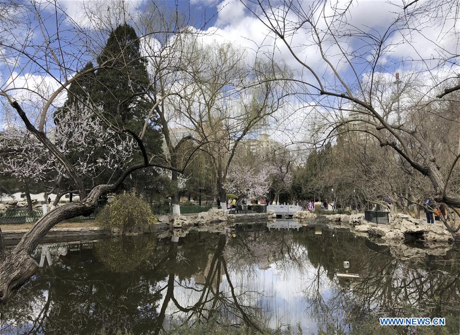 (Beijingcandid)CHINA-BEIJING-SPRING (CN)