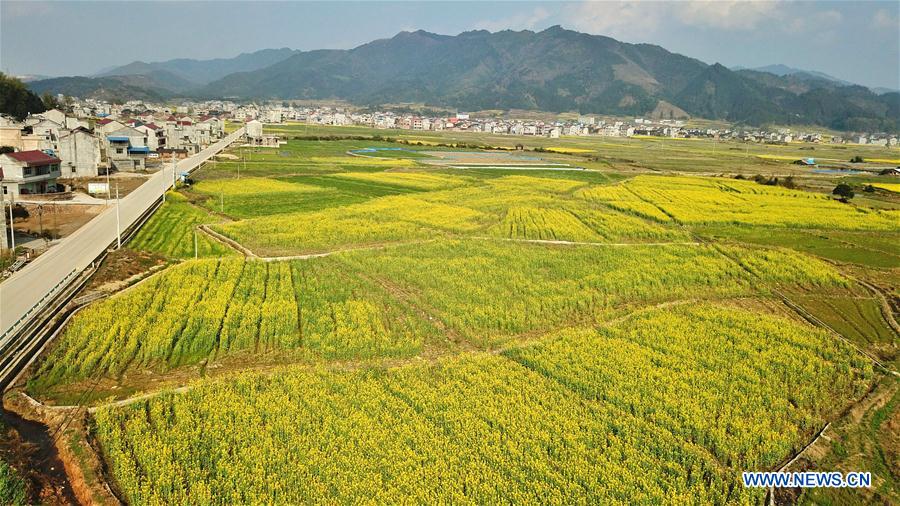 CHINA-GUIZHOU-JINPING-SPRING (CN)