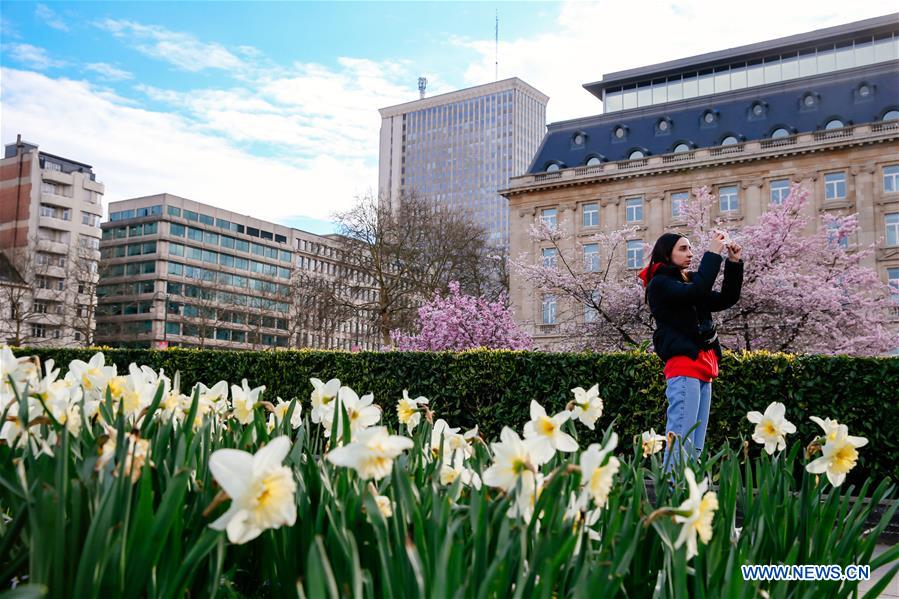 BELGIUM-BRUSSELS-SPRING-FLOWERS