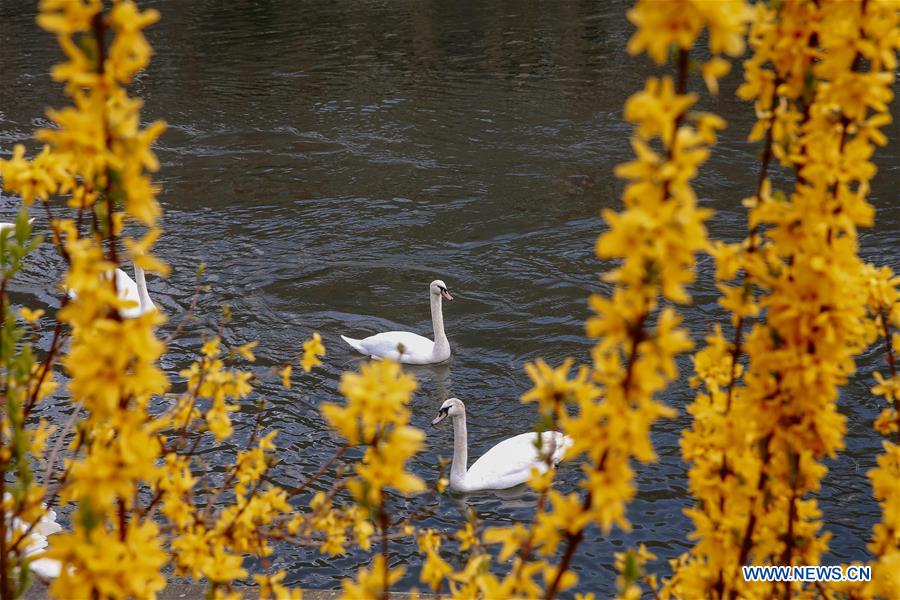 FRANCE-STRASBOURG-SPRING