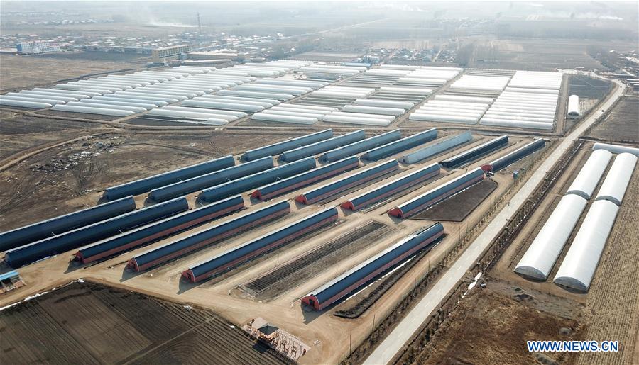 CHINA-HEILONGJIANG-HARBIN-COOPERATIVES (CN)