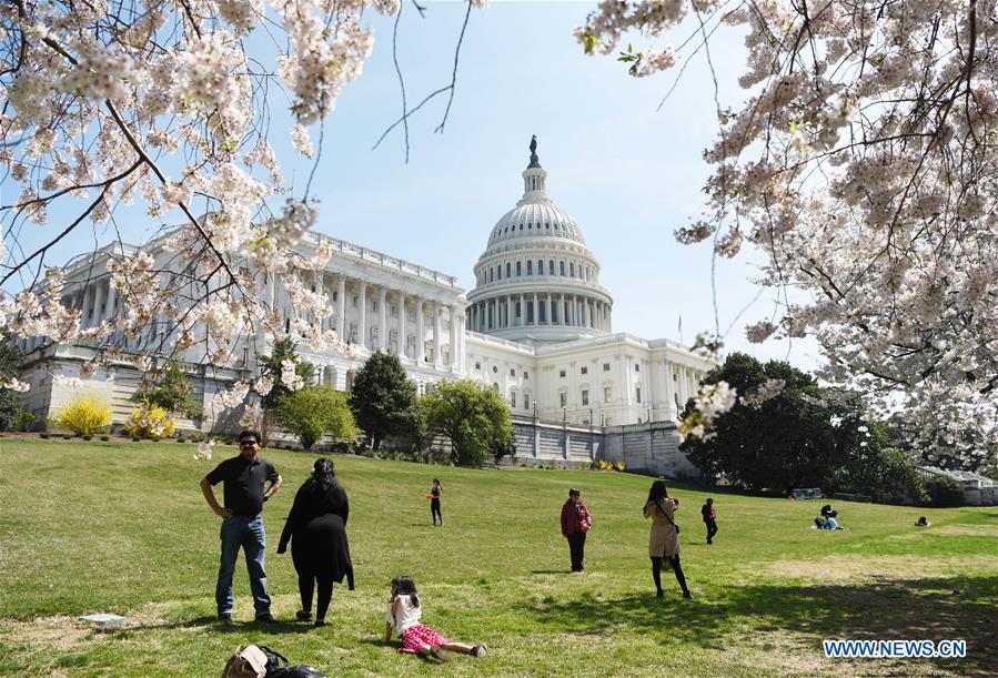 U.S.-WASHINGTON D.C.-CHERRY BLOSSOM