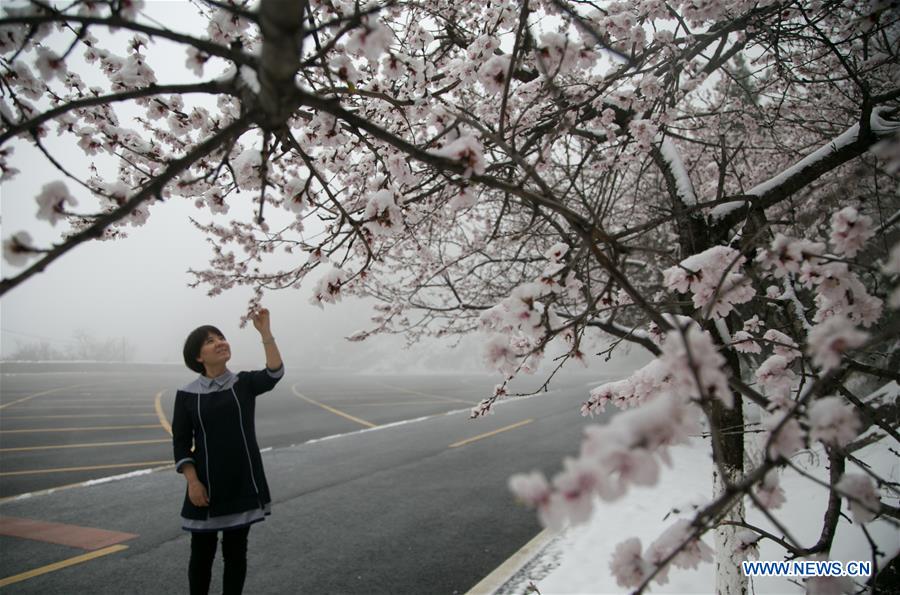 #CHINA-BEIJING-SNOWY SCENERY (CN)