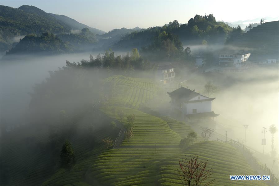 XINHUA PHOTOS OF THE DAY