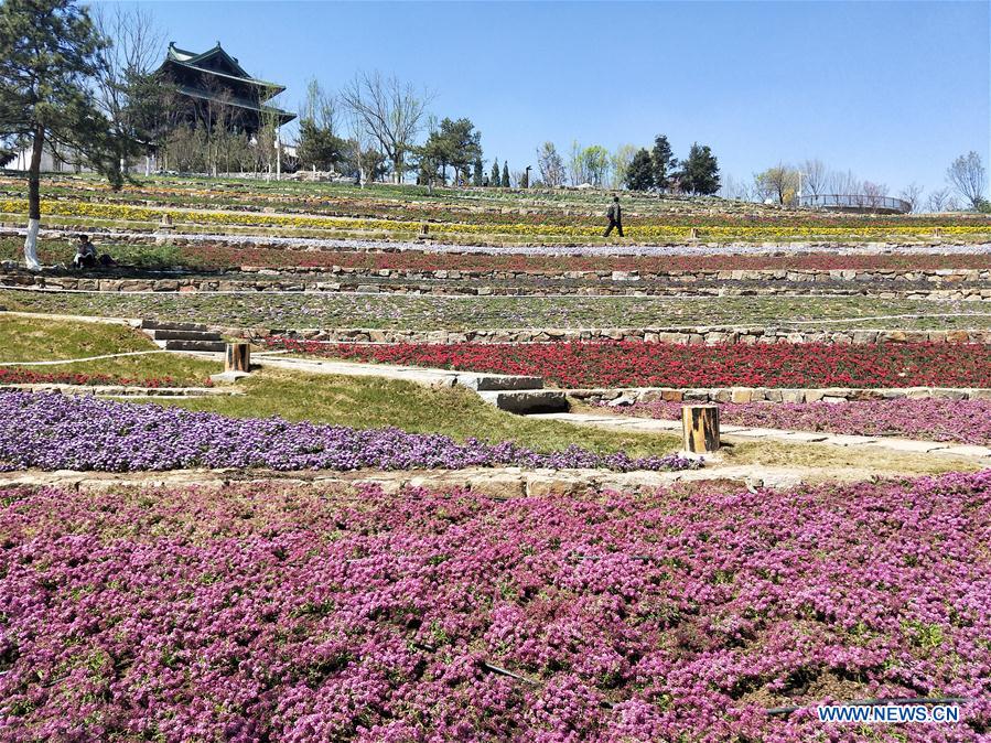 (Beijingcandid)CHINA-BEIJING-HORTICULTURAL EXPO (CN)