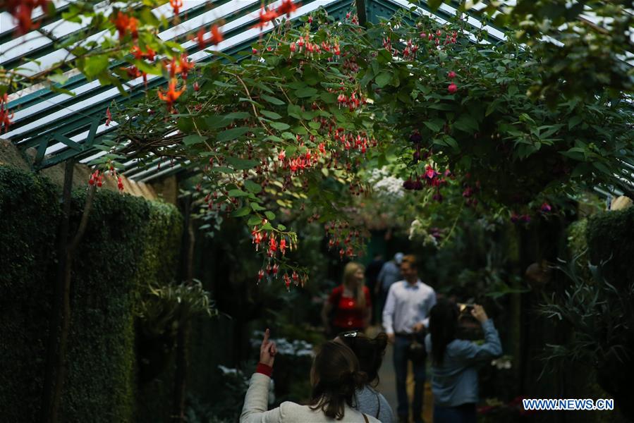 BELGIUM-BRUSSELS-ROYAL GREENHOUSES