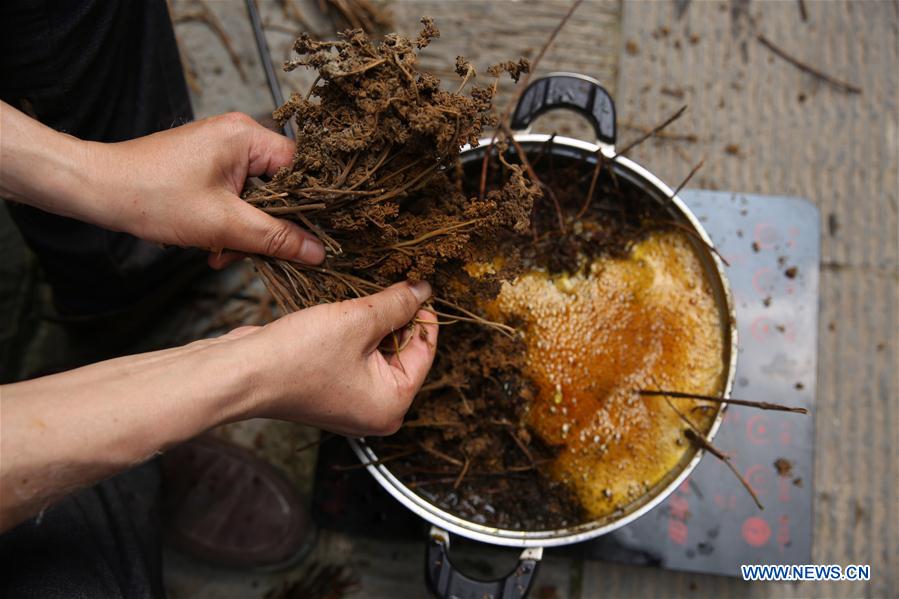 #CHINA-GUIZHOU-TRADITIONAL PAPERMAKING (CN)