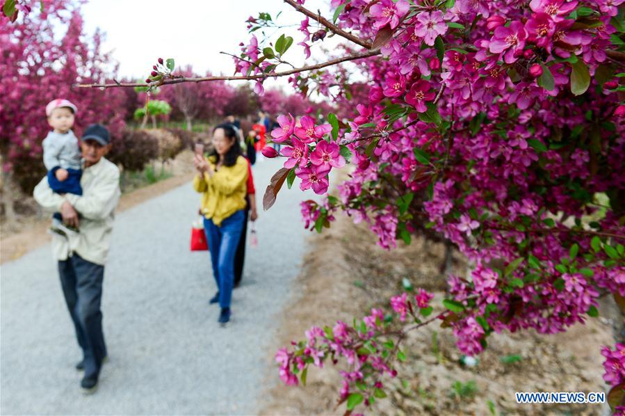 CHINA-XINJIANG-SPRING SCENERY (CN)