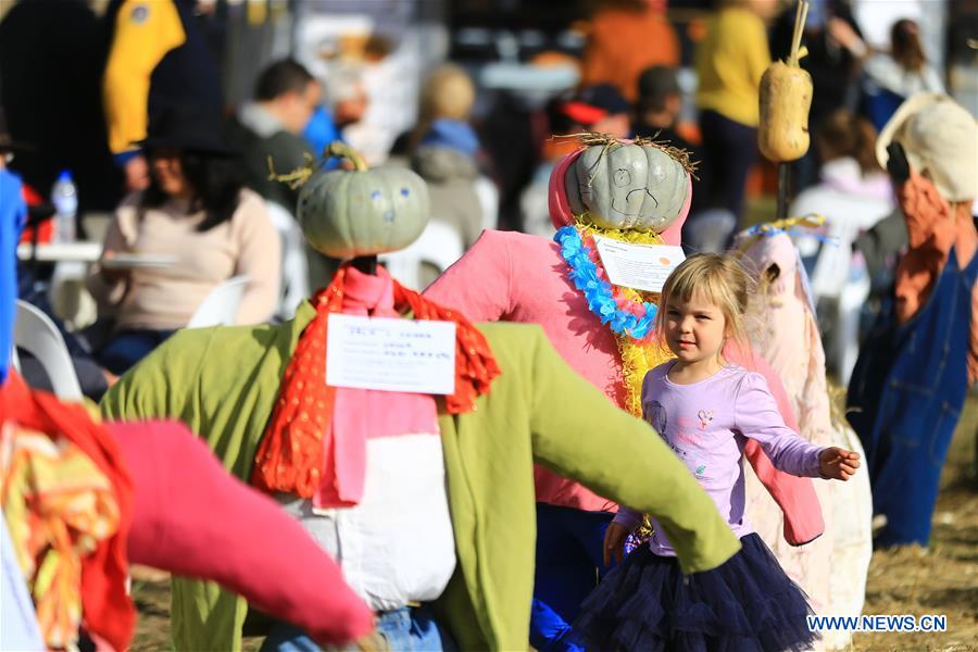 AUSTRALIA-COLLECTOR-PUMPKIN FESTIVAL