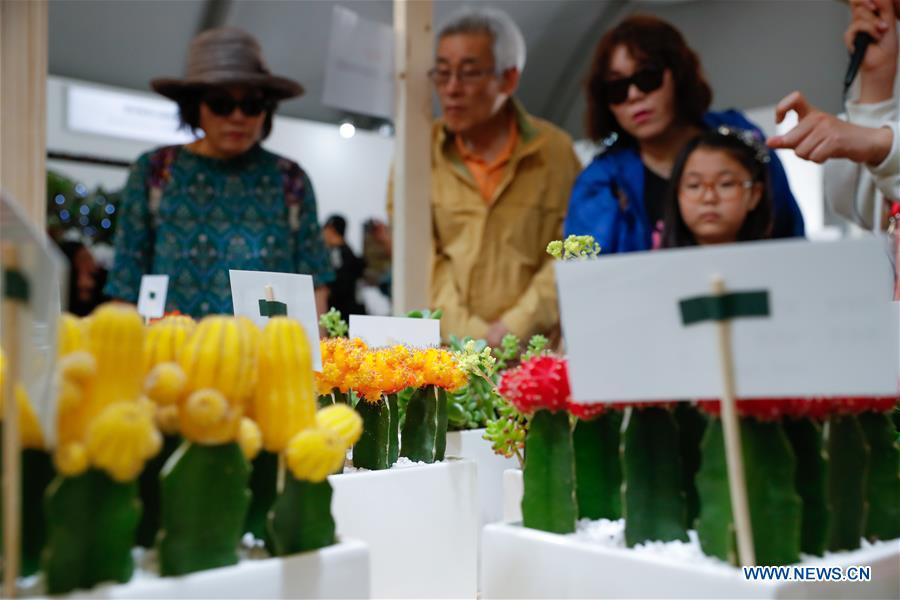 SOUTH KOREA-GOYANG-HORTICULTURE FESTIVAL