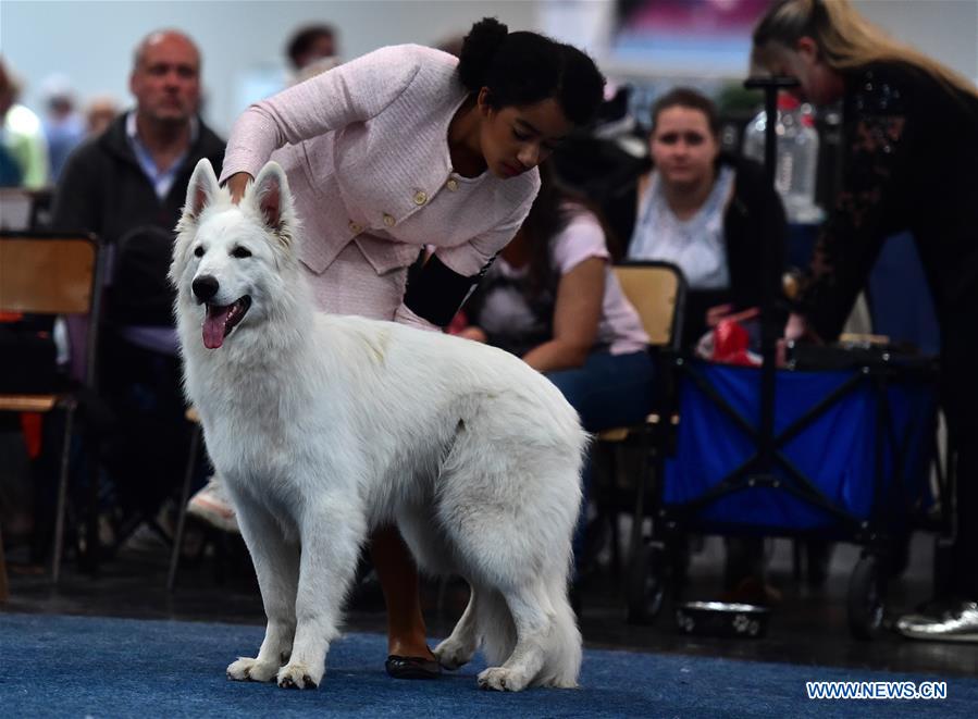 GERMANY-DORTMUND-DOG-CAT-EXHIBITION