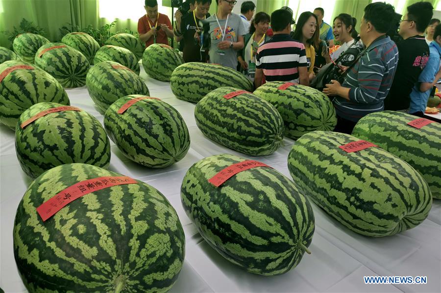 CHINA-BEIJING-WATERMELON FESTIVAL(CN)