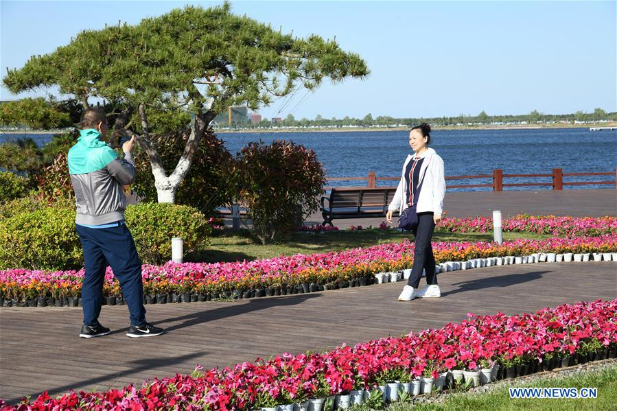 CHINA-SHANDONG-YINGHUA LAKE-ECOLOGICAL PROTECTION (CN)