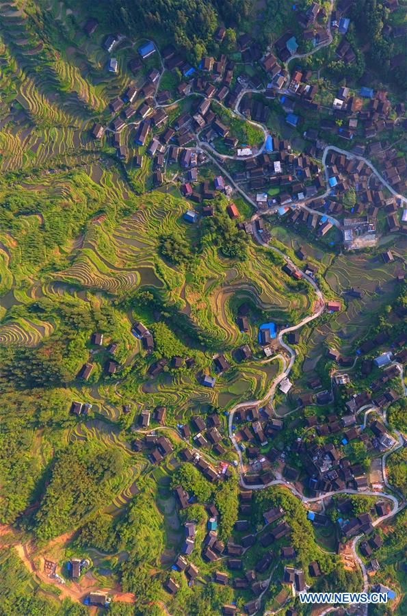 CHINA-GUANGXI-RONGSHUI-TERRACED FIELDS (CN)