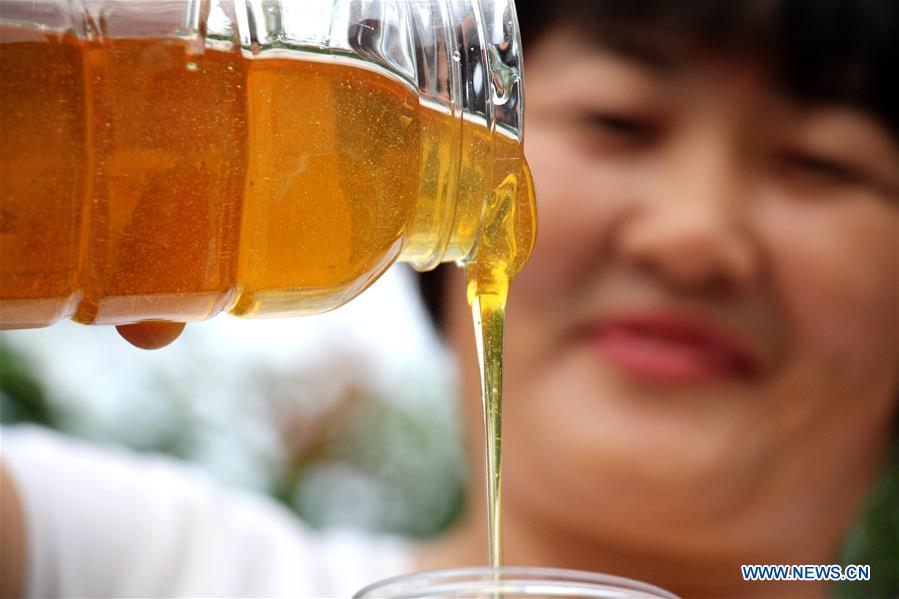 #CHINA-SHANDONG-BINZHOU-HONEY COLLECTION (CN) 