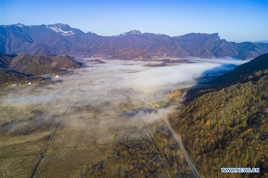 CHINA-BEIJING-HORTICULTURAL EXPO-HUBEI DAY (CN)