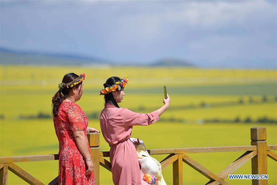 CHINA-QINGHAI-MENYUAN-COLE FLOWER FIELDS (CN)