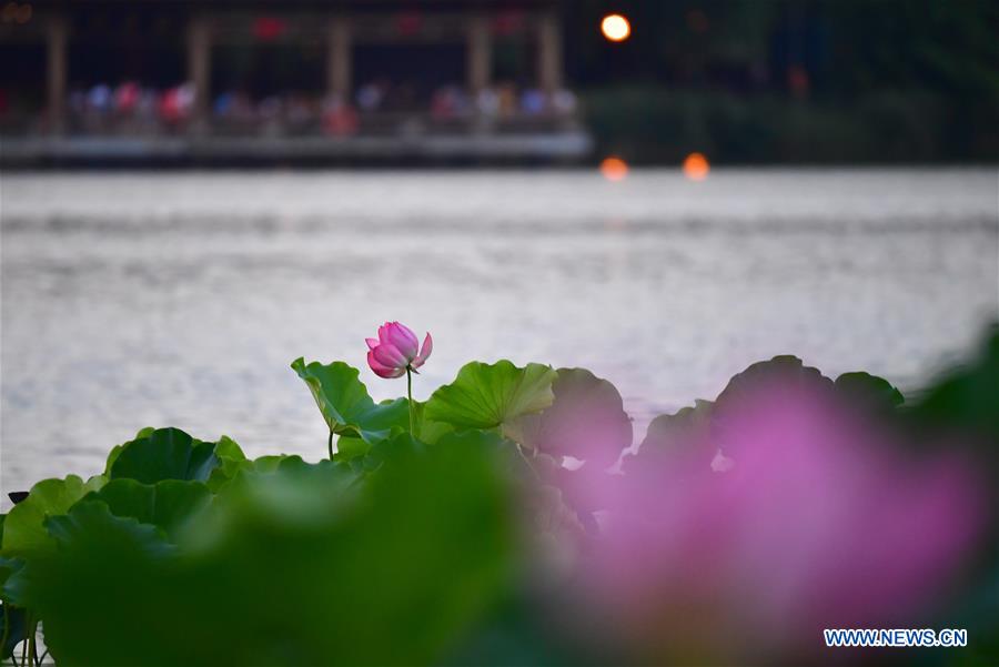 CHINA-XI'AN-SUMMER-PARK-LEISURE (CN)