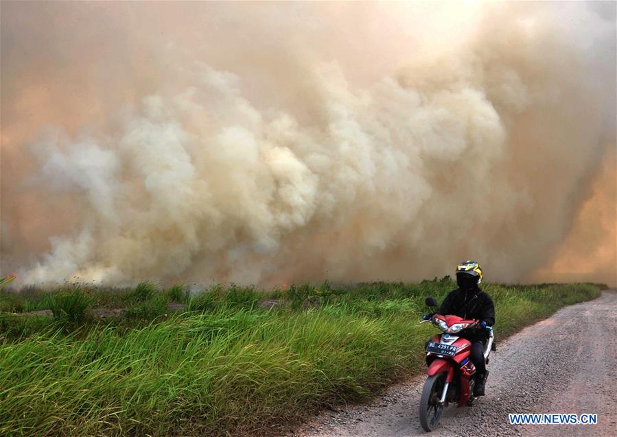 INDONESIA-SOUTH SUMATRA-PEAT LAND FIRE