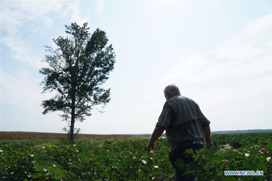 U.S.-GEORGIA-SYLVANIA-COTTON INDUSTRY-TARIFFS-TRADE