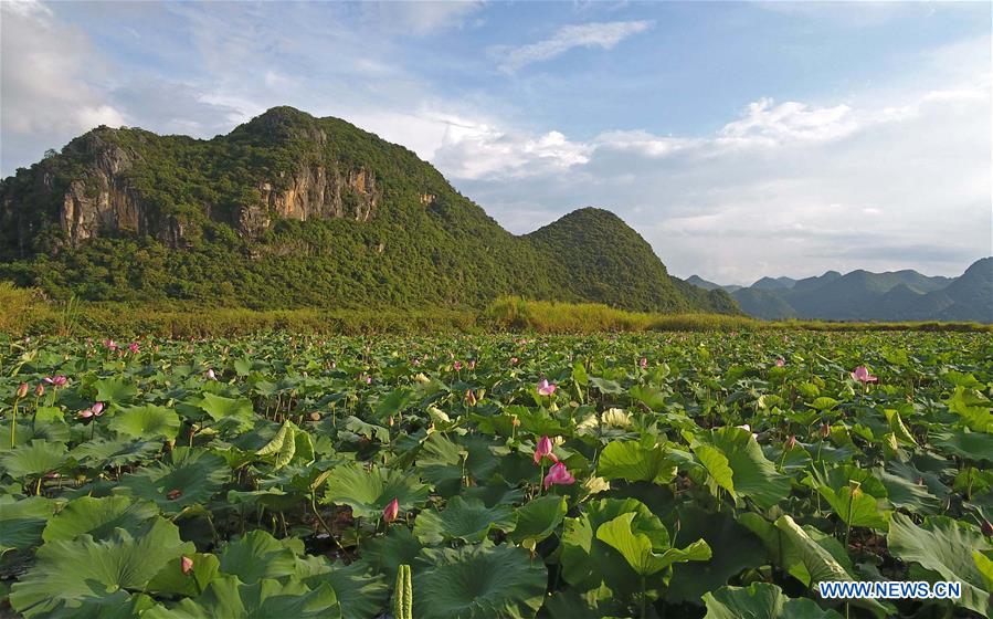 CHINA-YUNNAN-QIUBEI-PUZHEHEI NATIONAL WETLAND PARK-SCENERY (CN)