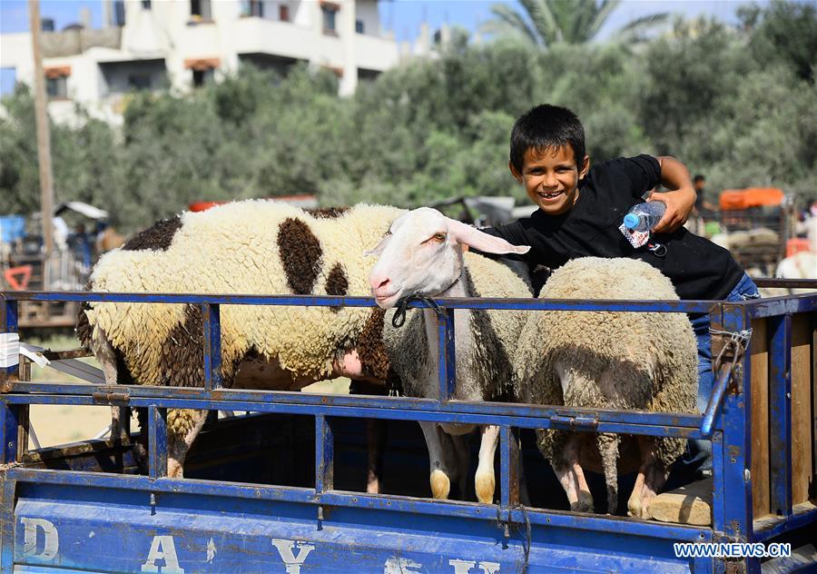 MIDEAST-GAZA-EID AL-ADHA-LIVESTOCK MARKET