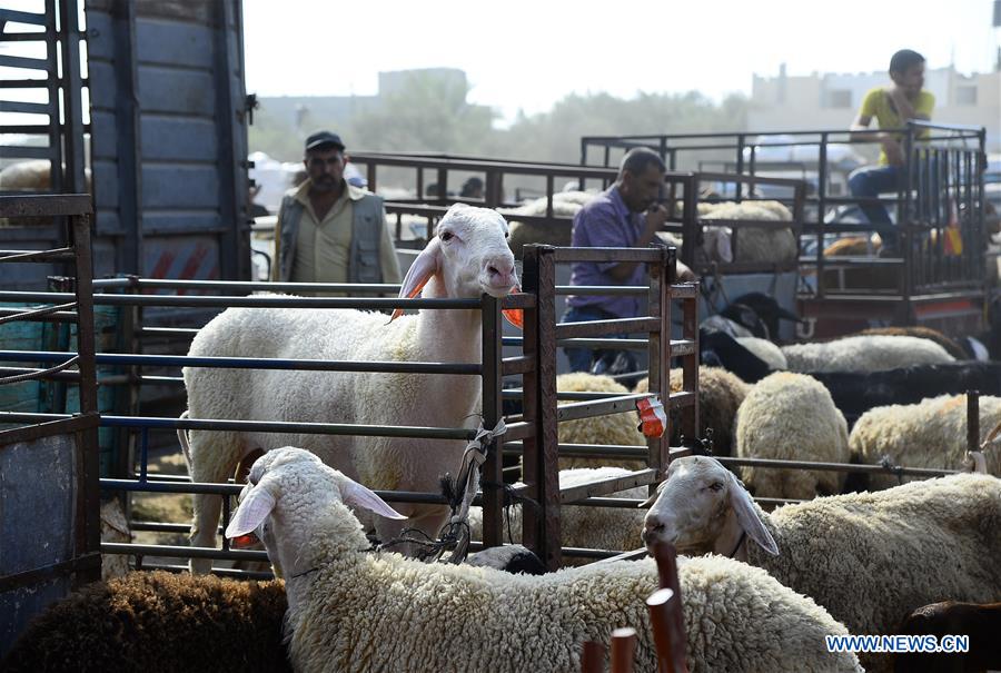 MIDEAST-GAZA-EID AL-ADHA-LIVESTOCK MARKET