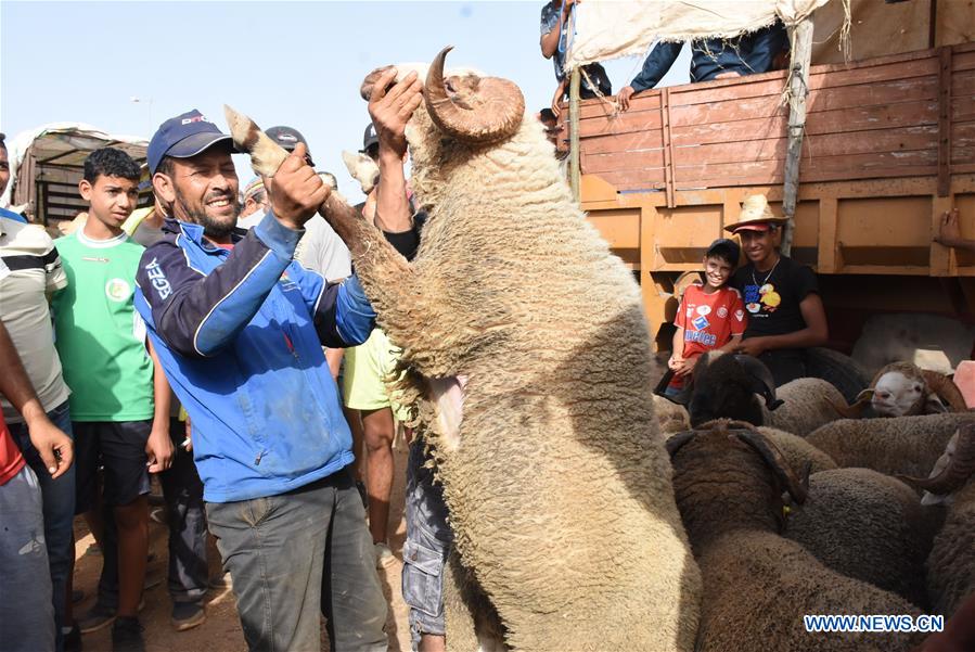 MOROCCO-SALE-EID AL-ADHA-LIVESTOCK MARKET