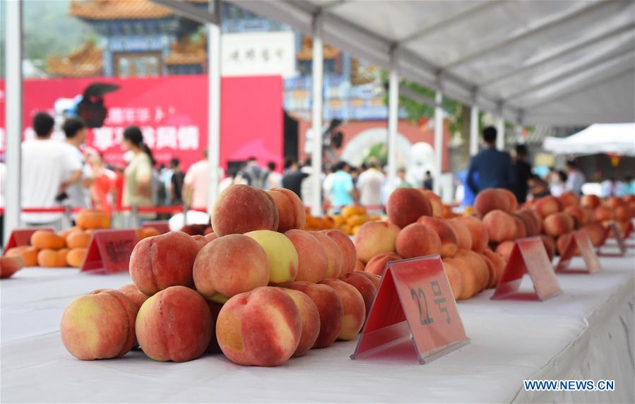 CHINA-BEIJING-PINGGU-PEACH FAIR(CN)