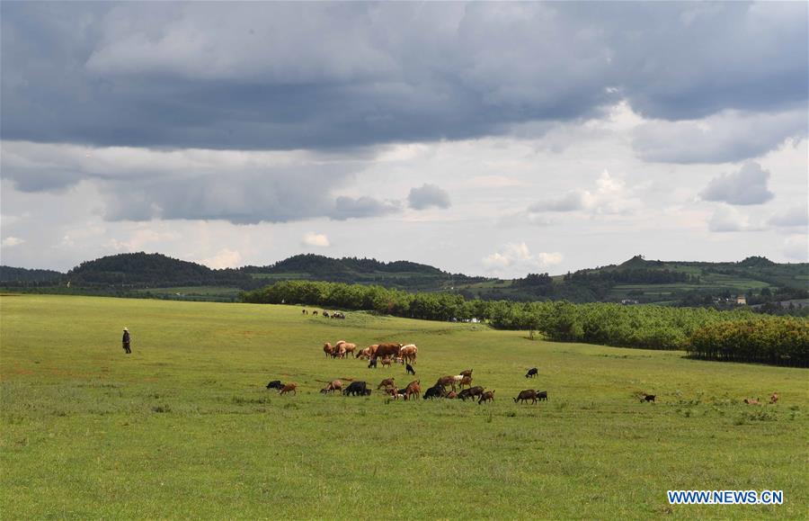 CHINA-YUNNAN-BEIDAYING-GRASSLAND (CN)