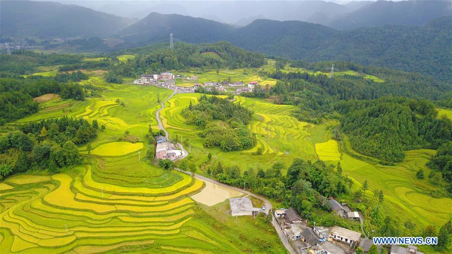 CHINA-GUIZHOU-RURAL SCENERY (CN)