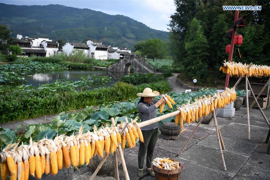 CHINA-ANHUI-HUANGSHAN-AIRING CORNS (CN)